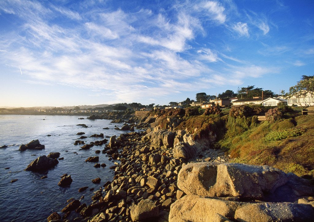 Detail of View of coastline, Pacific Grove, Monterey, California, USA by Anonymous