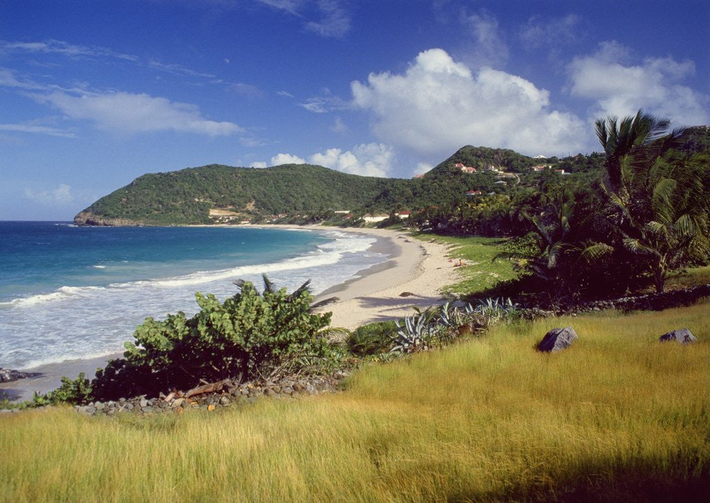 Detail of Landscape with sandy beach, Guadeloupe, France by Corbis