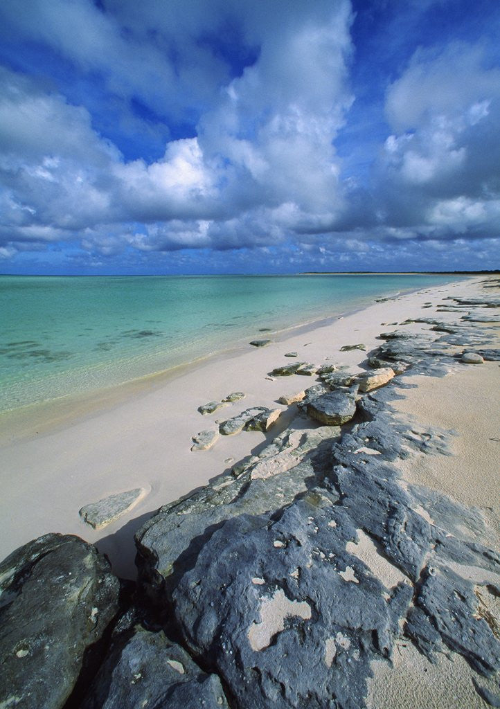 Detail of Beach, Turks and Caicos Islands, UK by Anonymous
