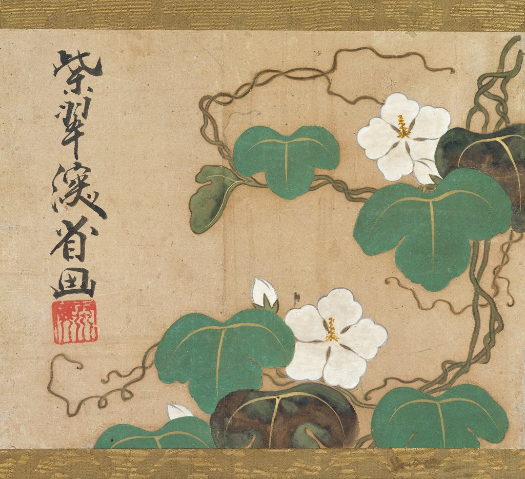 Detail of Evening Glories by Ogata Kenzan