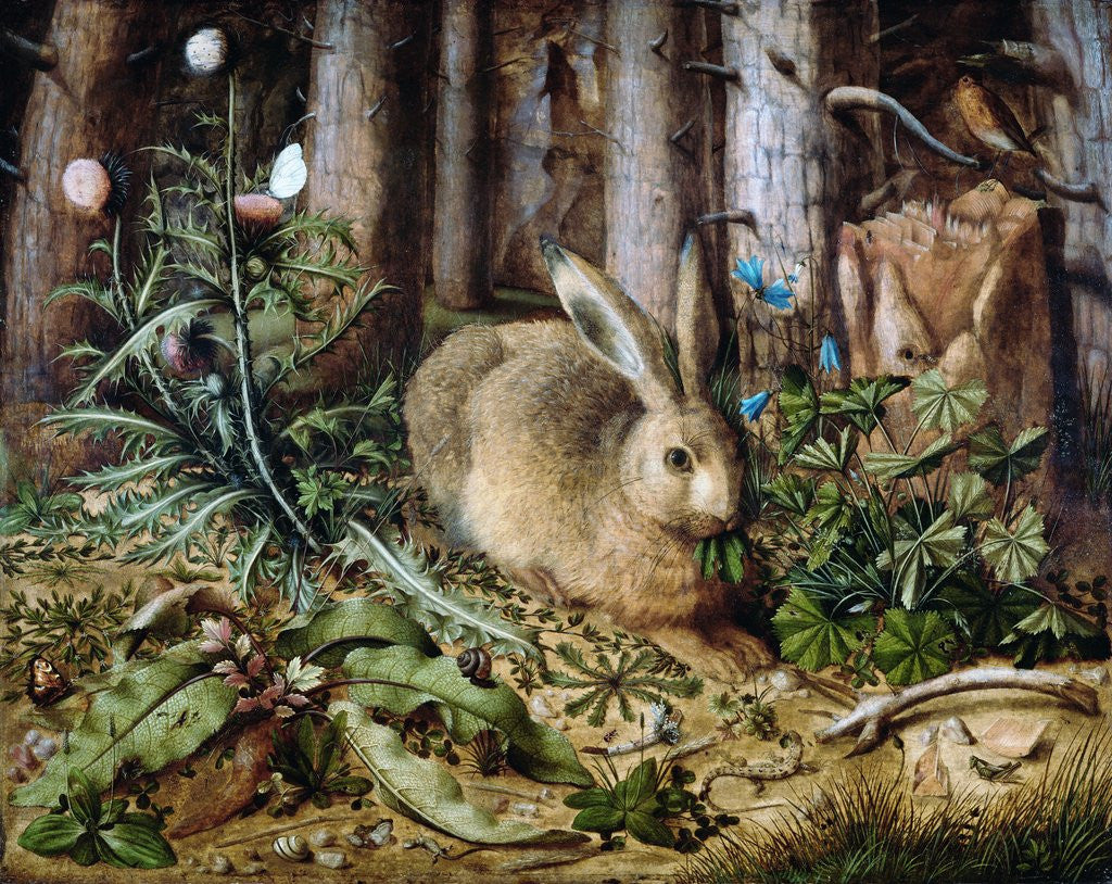 Detail of A Hare in the Forest by Hans Hoffmann