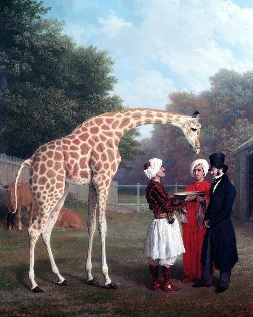 Detail of Nubian Giraffe by Jacques-Laurent Agasse