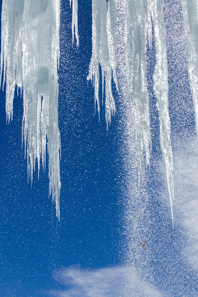 Detail of Icicles, Antarctic Peninsula by Anonymous