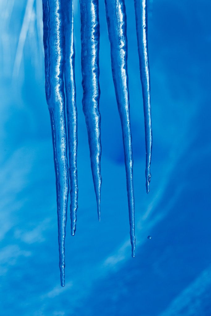 Detail of Iceberg, Gerlache Strait, Antarctica by Anonymous