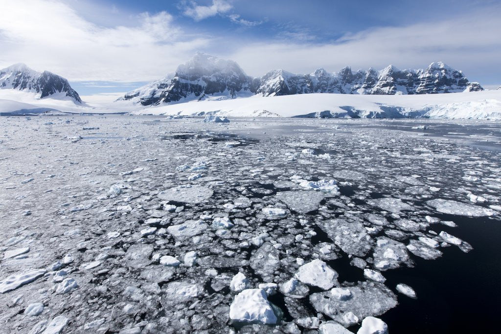 Detail of Mountain Peaks and Sea Ice, Antarctica by Anonymous