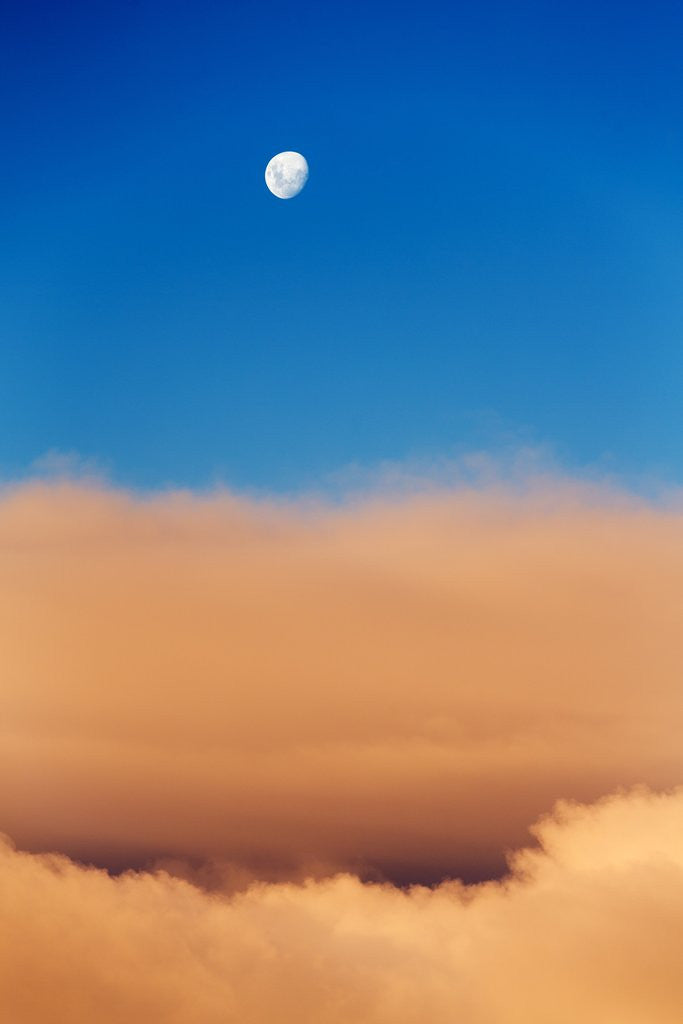Detail of Moon and Livingstone Island, Antarctica by Anonymous