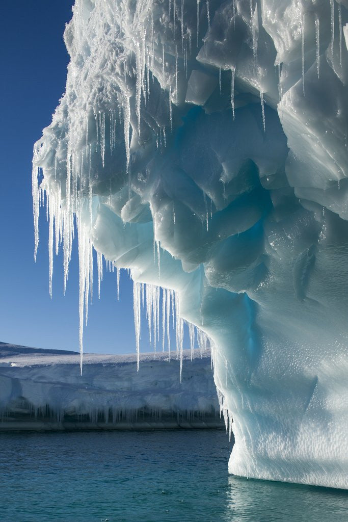 Detail of Iceberg, Petermann Island, Antarctica by Anonymous