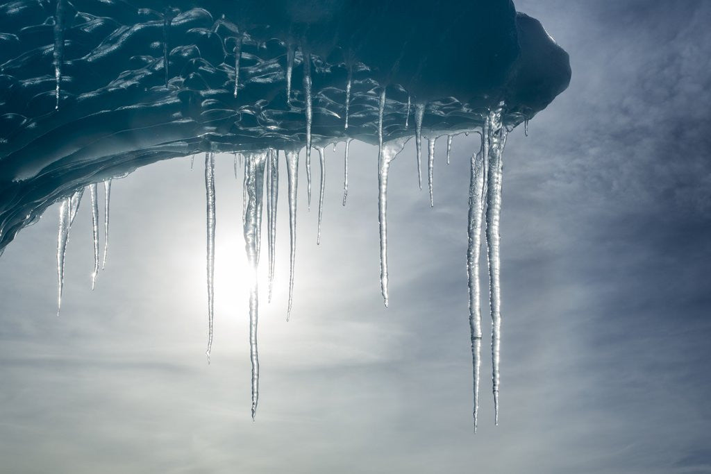 Detail of Iceberg, Antarctica by Corbis