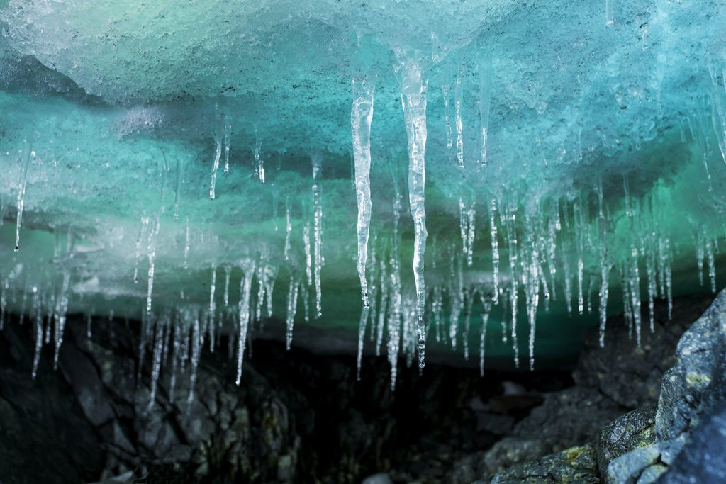 Detail of Icicles in Ice Cave, Cuverville Island, Antarctica by Anonymous