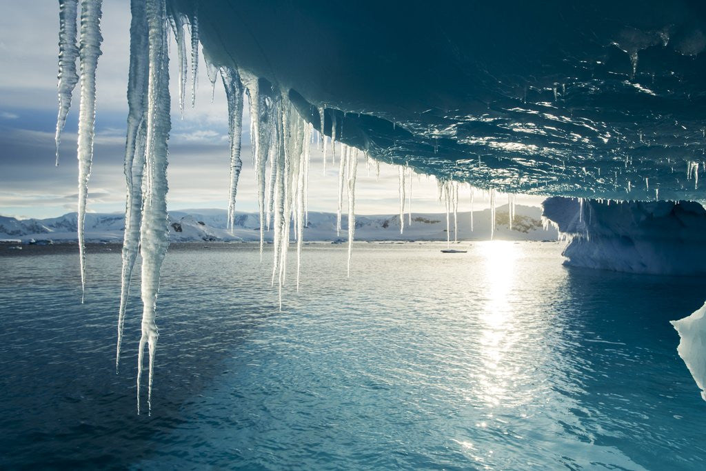 Detail of Iceberg, Antarctica by Anonymous