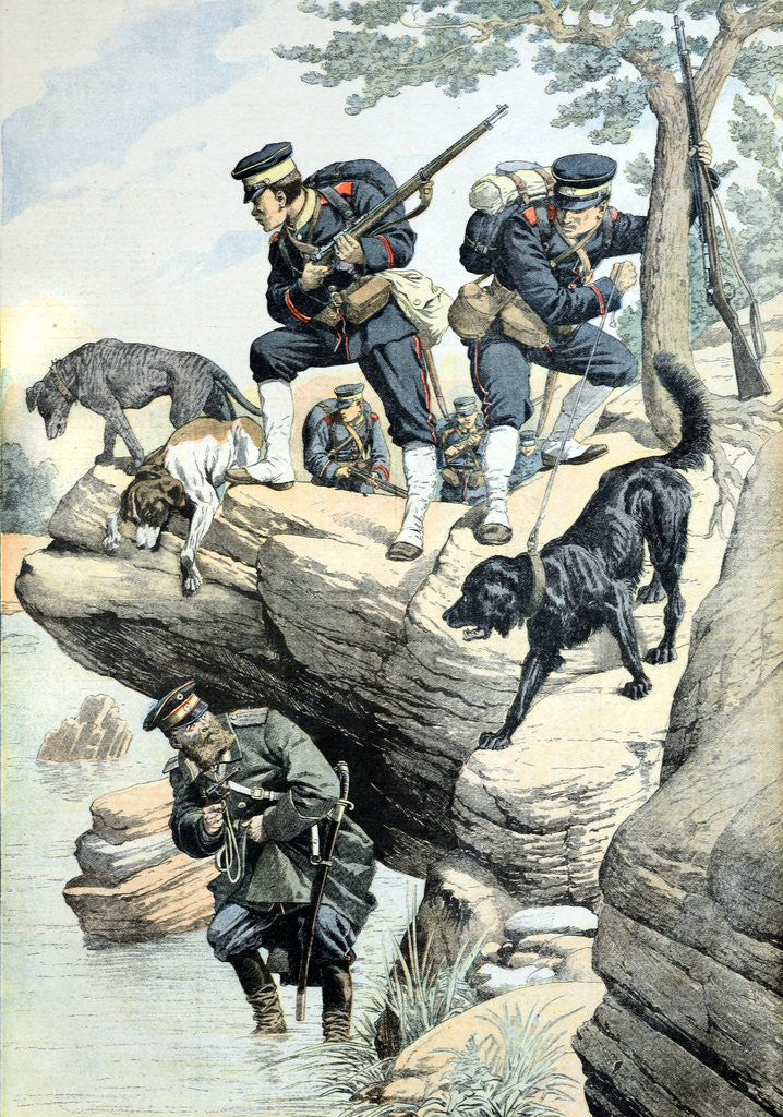 Detail of Dogs Used in War by Japanese Russo-Japanese War (Sept 1904) by Corbis