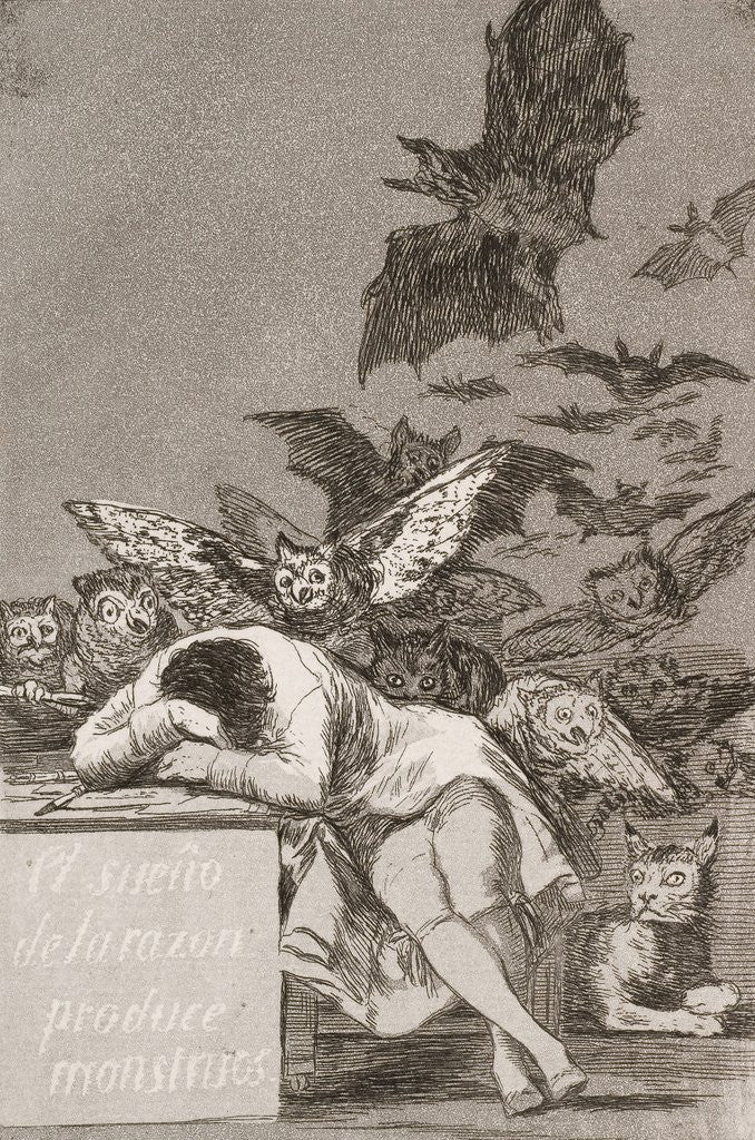 Detail of The sleep of reason produces monsters (No. 43), from Los Caprichos by Francisco Goya