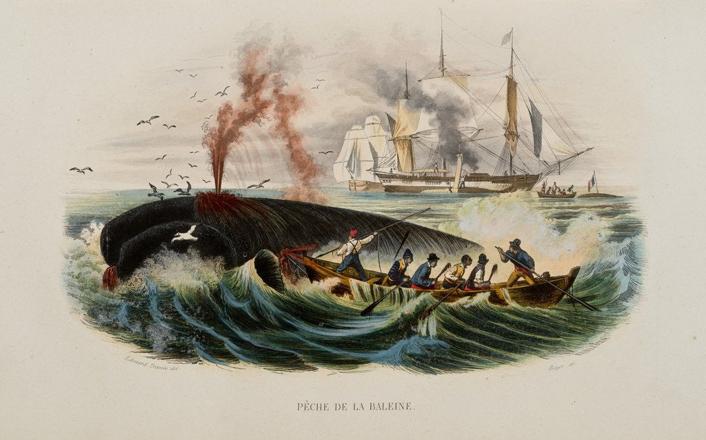 Detail of Whaling by Anonymous