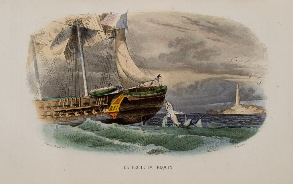 Detail of Shark fishing by Anonymous