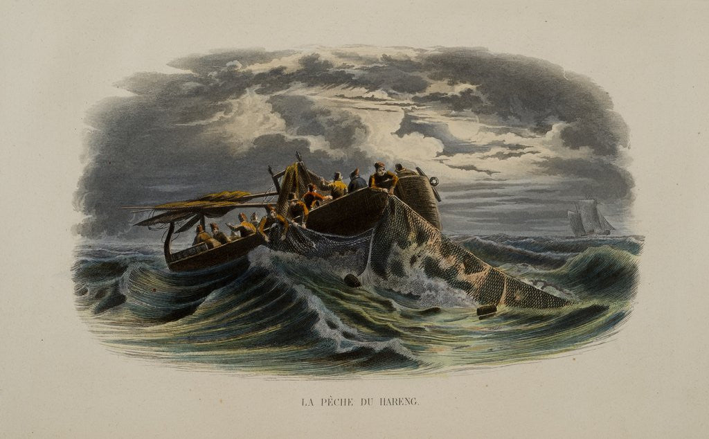 Detail of Herring Fishing by Anonymous