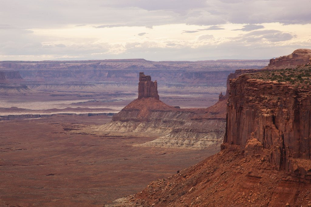 Detail of Majestic desert landscape, Canyonlands National Park, Utah. USA by Anonymous