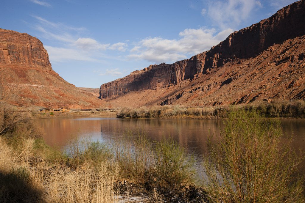 Detail of Colorado River, Utah, USA by Anonymous