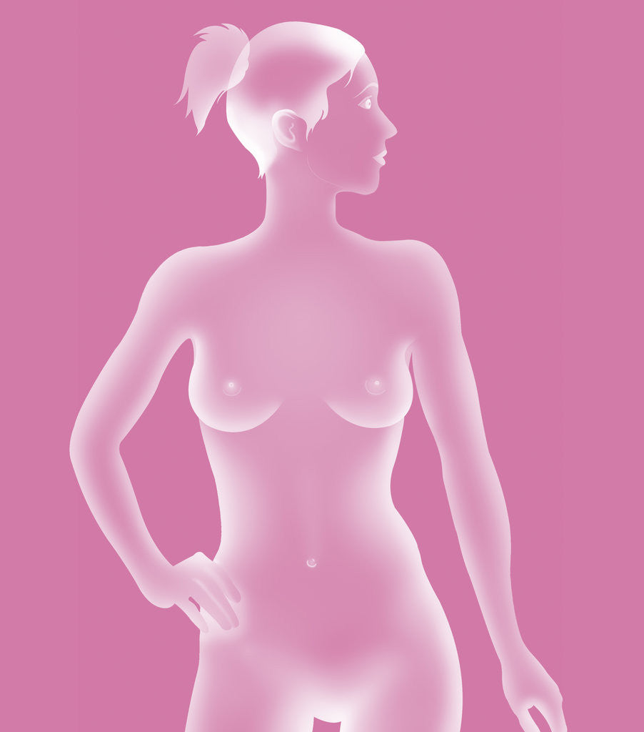 Detail of Silhouette of a woman by Anonymous