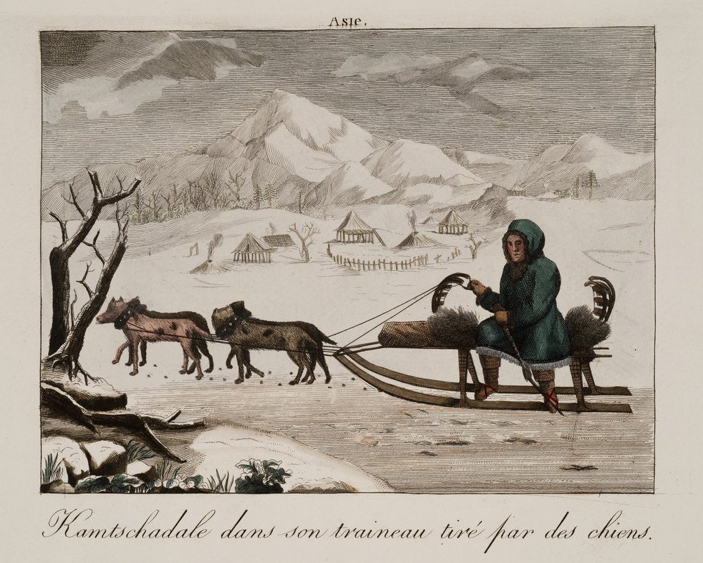 Detail of A sled in Siberia by Anonymous
