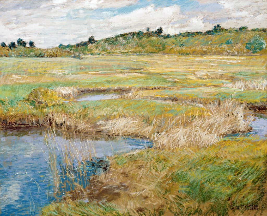 Detail of The Concord Meadow, Concord, Massachusetts by Childe Hassam