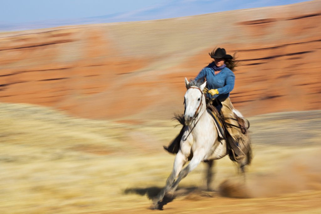 Detail of Cowgirl riding the range by Anonymous