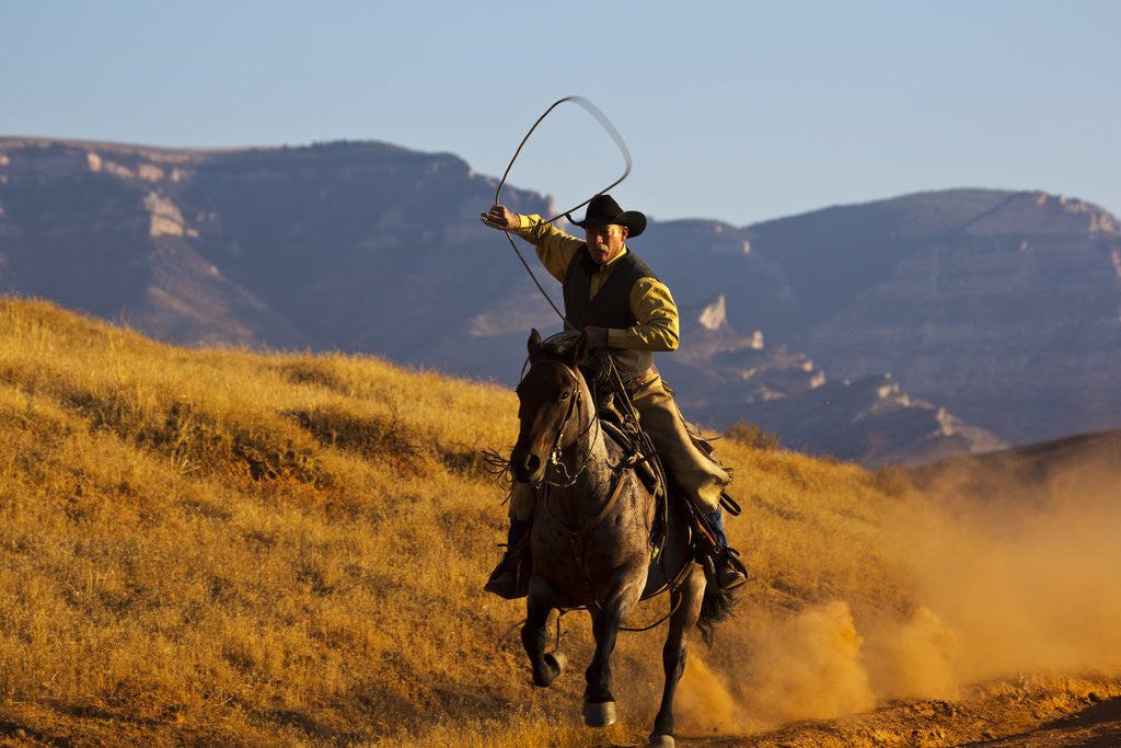 Detail of Cowboy riding the range by Corbis