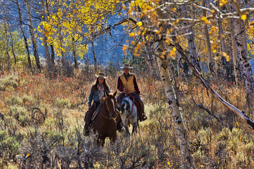 Detail of Cowgirl and cowboy riding together by Anonymous