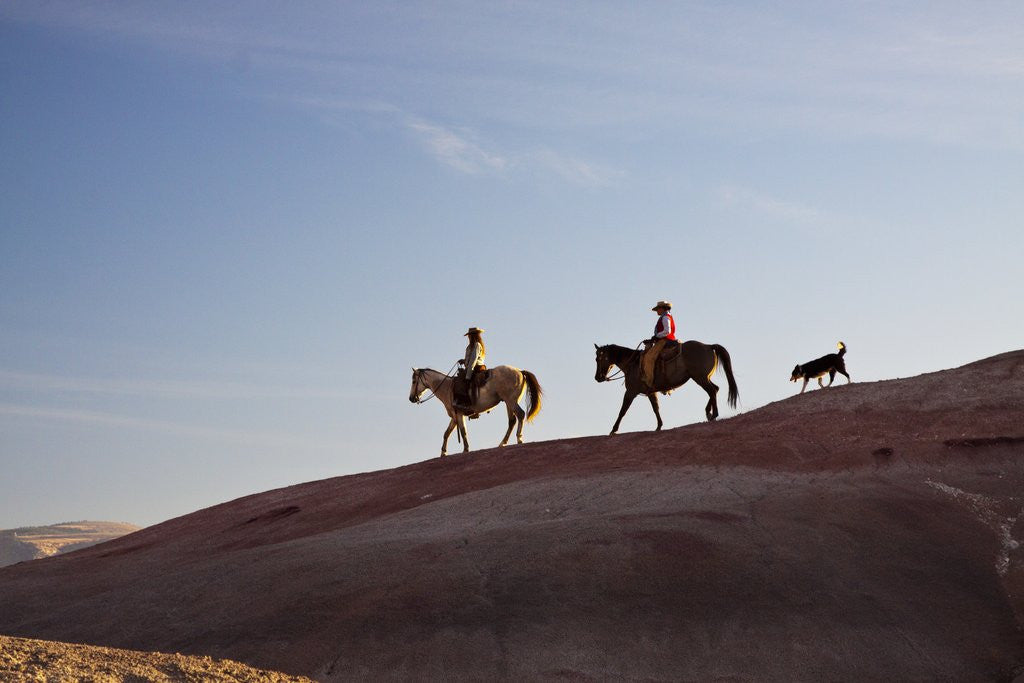 Detail of Cowgirls and dogs along the ridge of The Painted Hills by Anonymous
