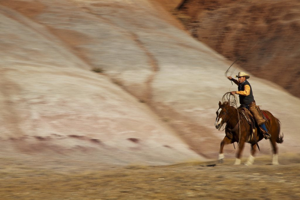 Detail of Cowboy in The Painted Hills by Anonymous