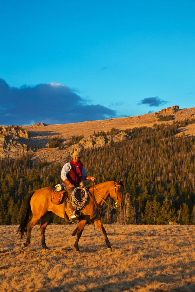 Detail of Cowboy riding the range by Anonymous