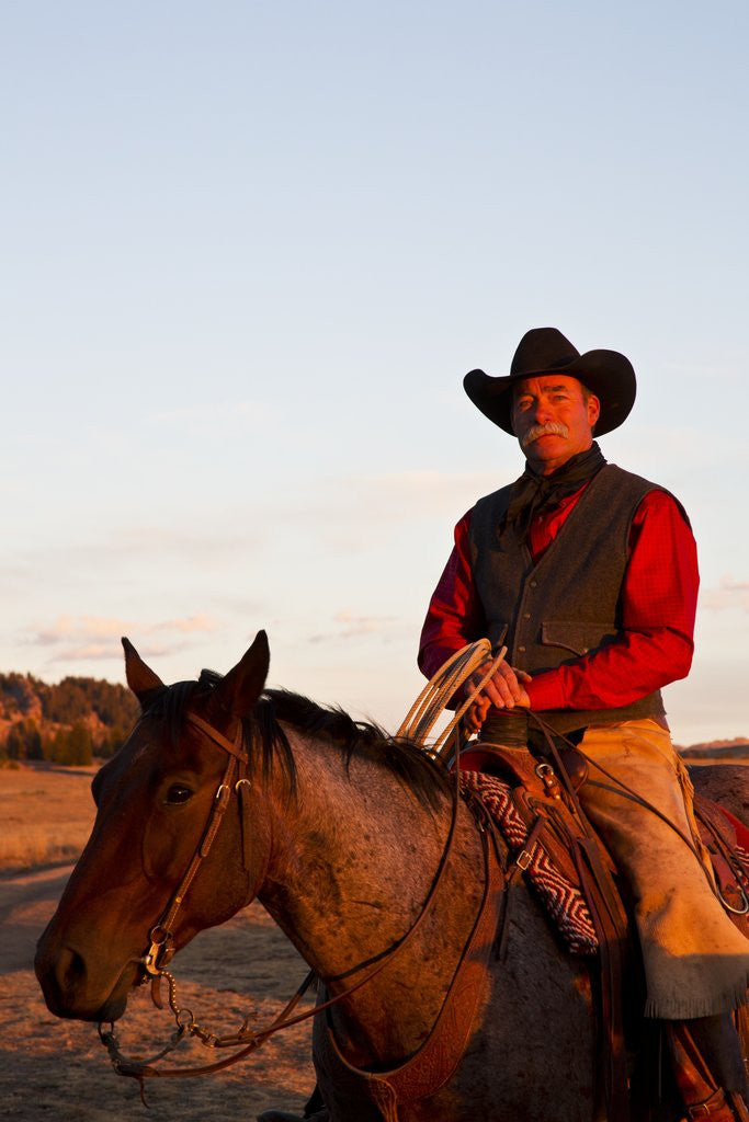 Detail of Cowboy in the sunshine by Anonymous