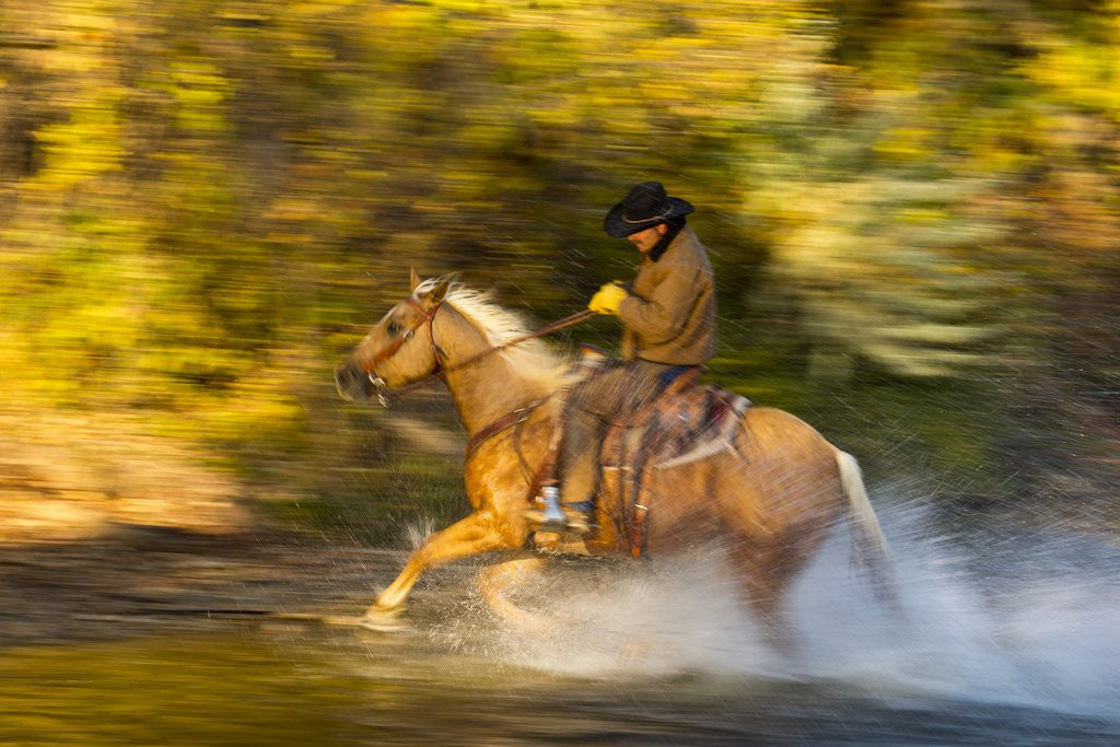 Detail of Cowboy riding through river on a horse by Anonymous