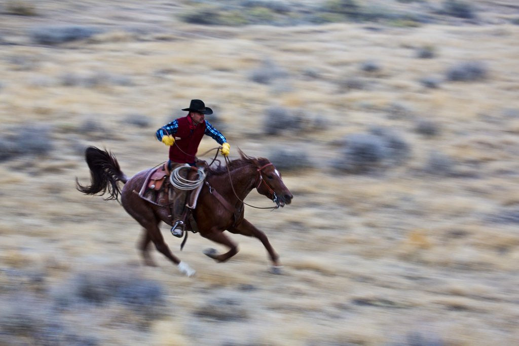 Detail of Cowboy riding the range by Anonymous