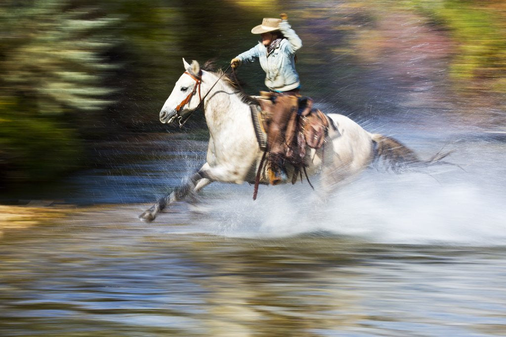 Detail of Cowgirl riding through river on horse by Anonymous