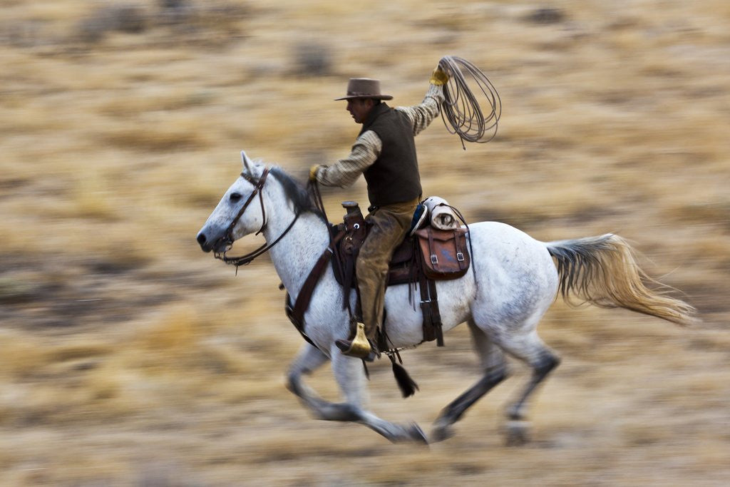 Detail of Cowboy riding the range by Anonymous