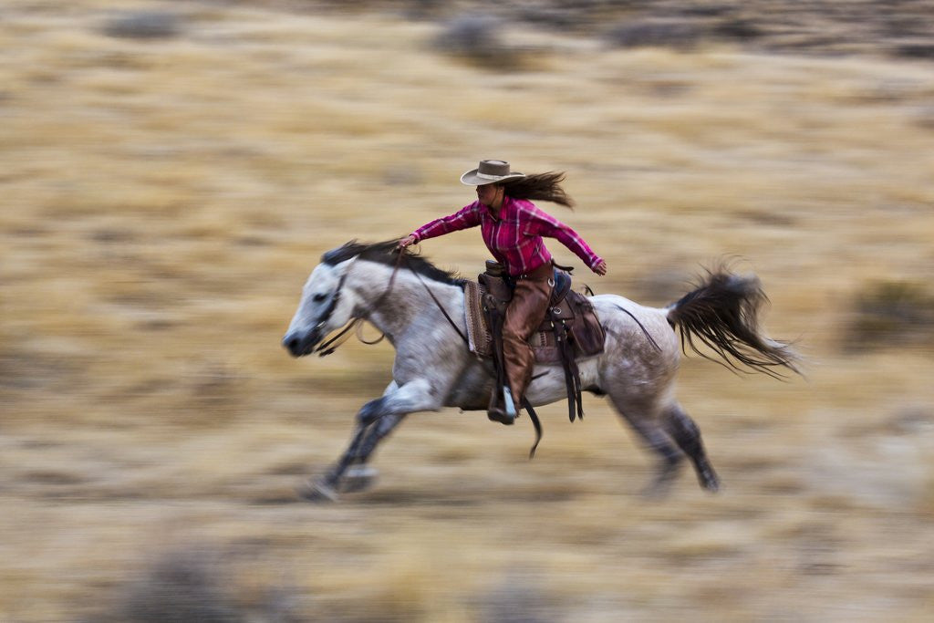 Detail of Cowgirl riding the range by Anonymous
