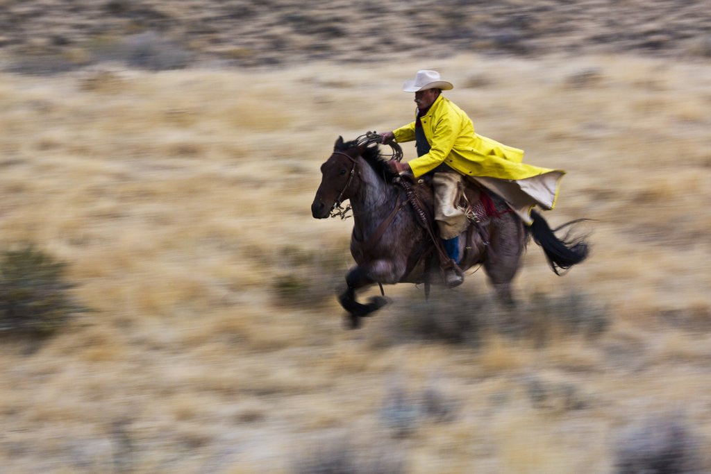 Detail of Cowboy riding the range by Anonymous