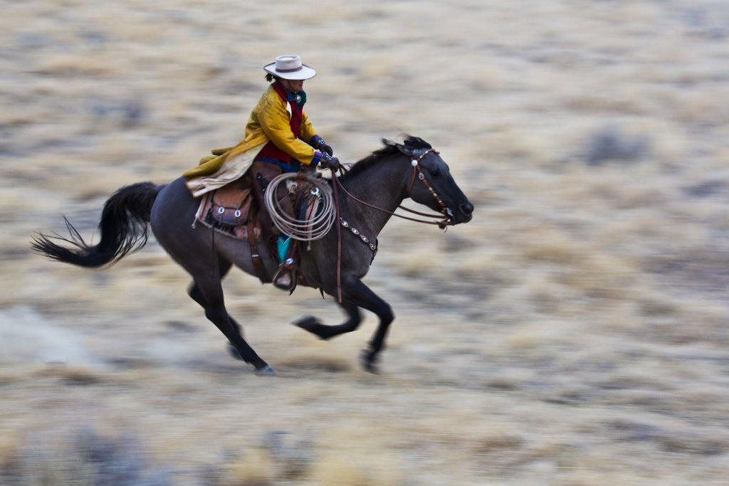 Detail of Cowgirl riding the range by Anonymous