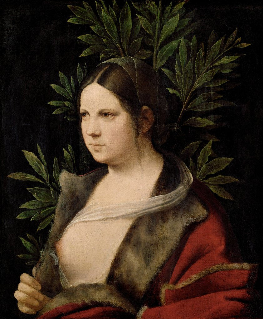 Detail of Young Woman (Laura) by Giorgione