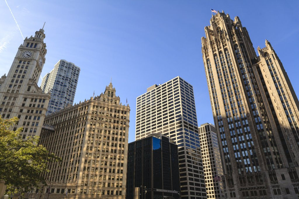 Detail of Chicago, Illinois by Anonymous
