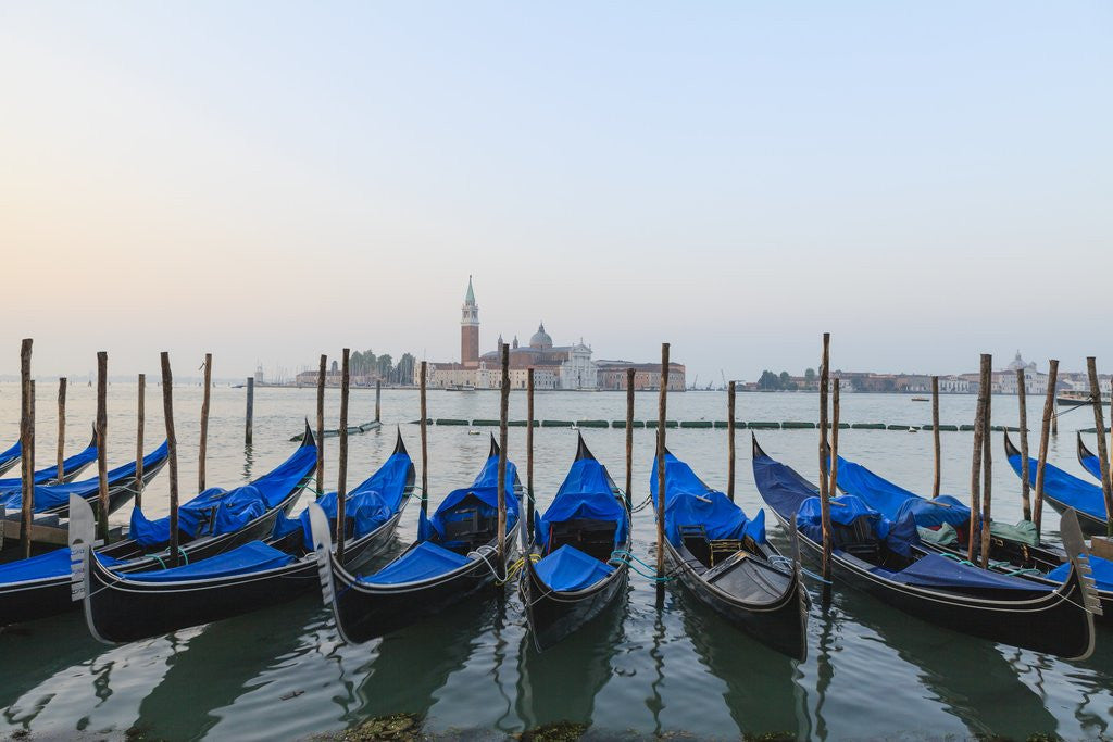 Detail of Gondolas, Venice, Italy by Anonymous