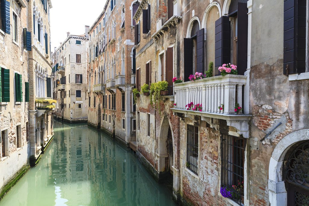 Detail of Venice, Italy by Anonymous