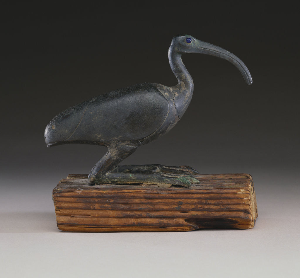 Detail of An Egyptian figure of an Ibis by Anonymous