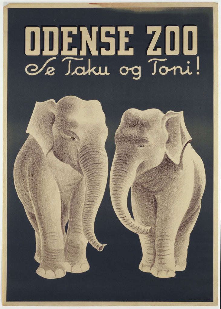Detail of Odense Zoo poster by Anonymous