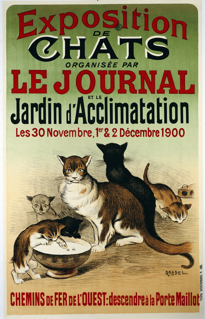 Detail of Exposition de Chats poster by Alfred Roedel
