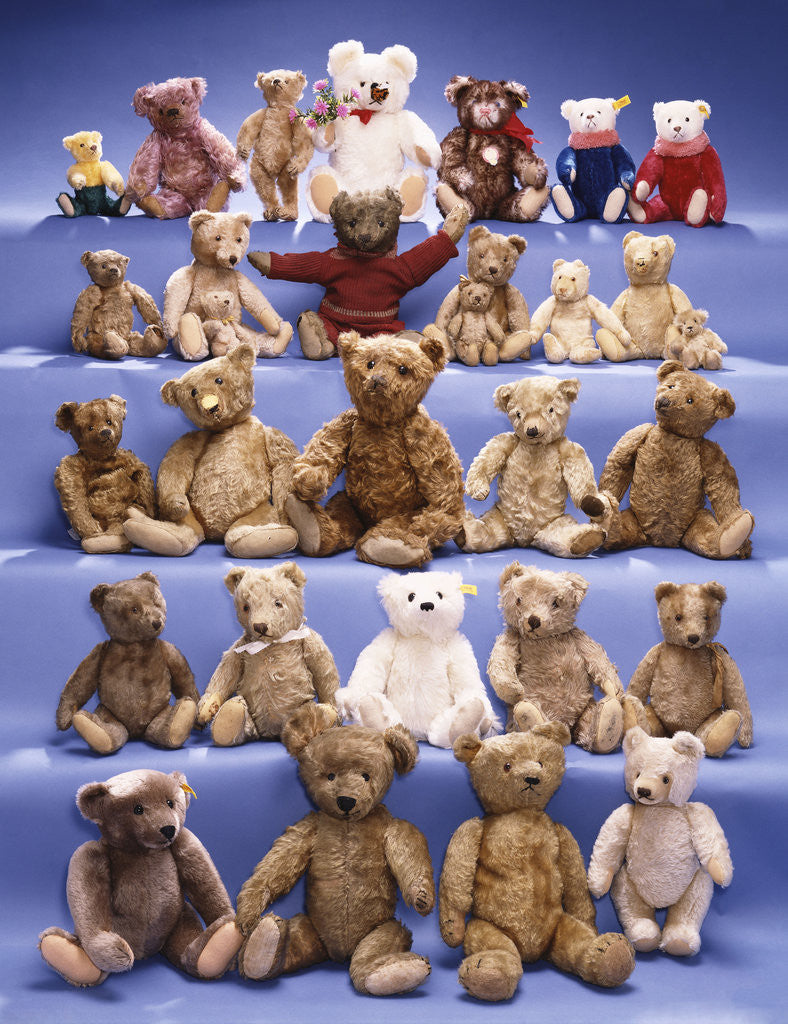 Detail of A collection of Steiff bears by Anonymous