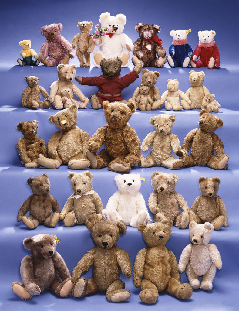 Detail of A collection of Steiff bears by Corbis