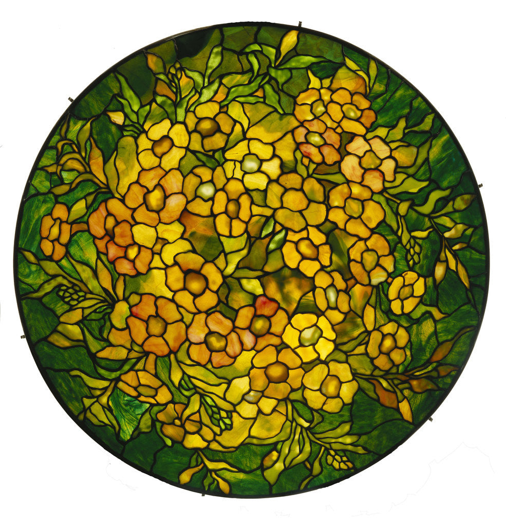 Detail of Tiffany Studios lighted shade of a fine alamander leaded glass and bronze vhandelier by Anonymous