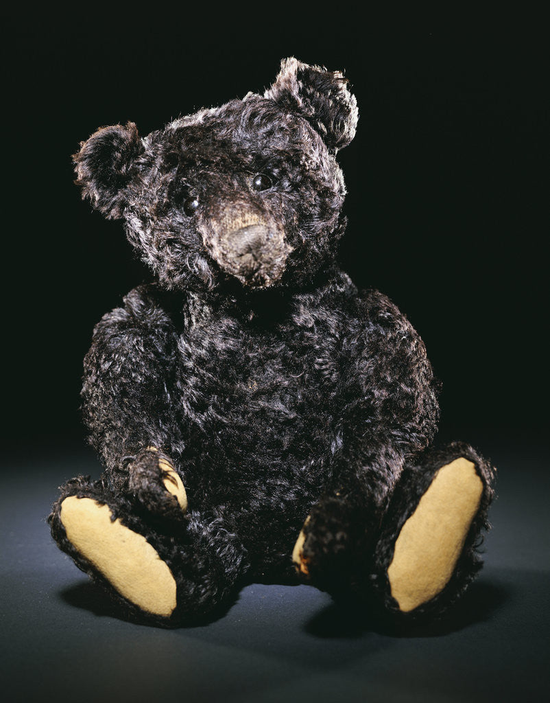 Detail of A rare black Steiff teddy bear with rich black curly mohair, circa 1912 by Corbis