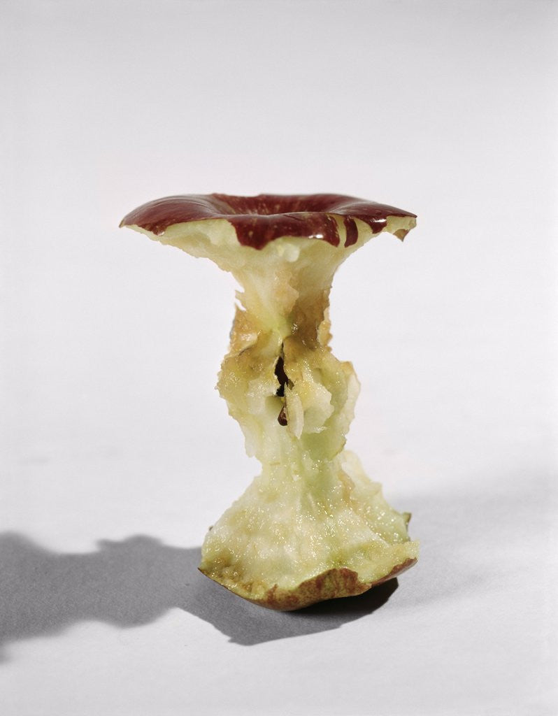 Detail of apple Eaten Down To Its Core Still Life by Anonymous